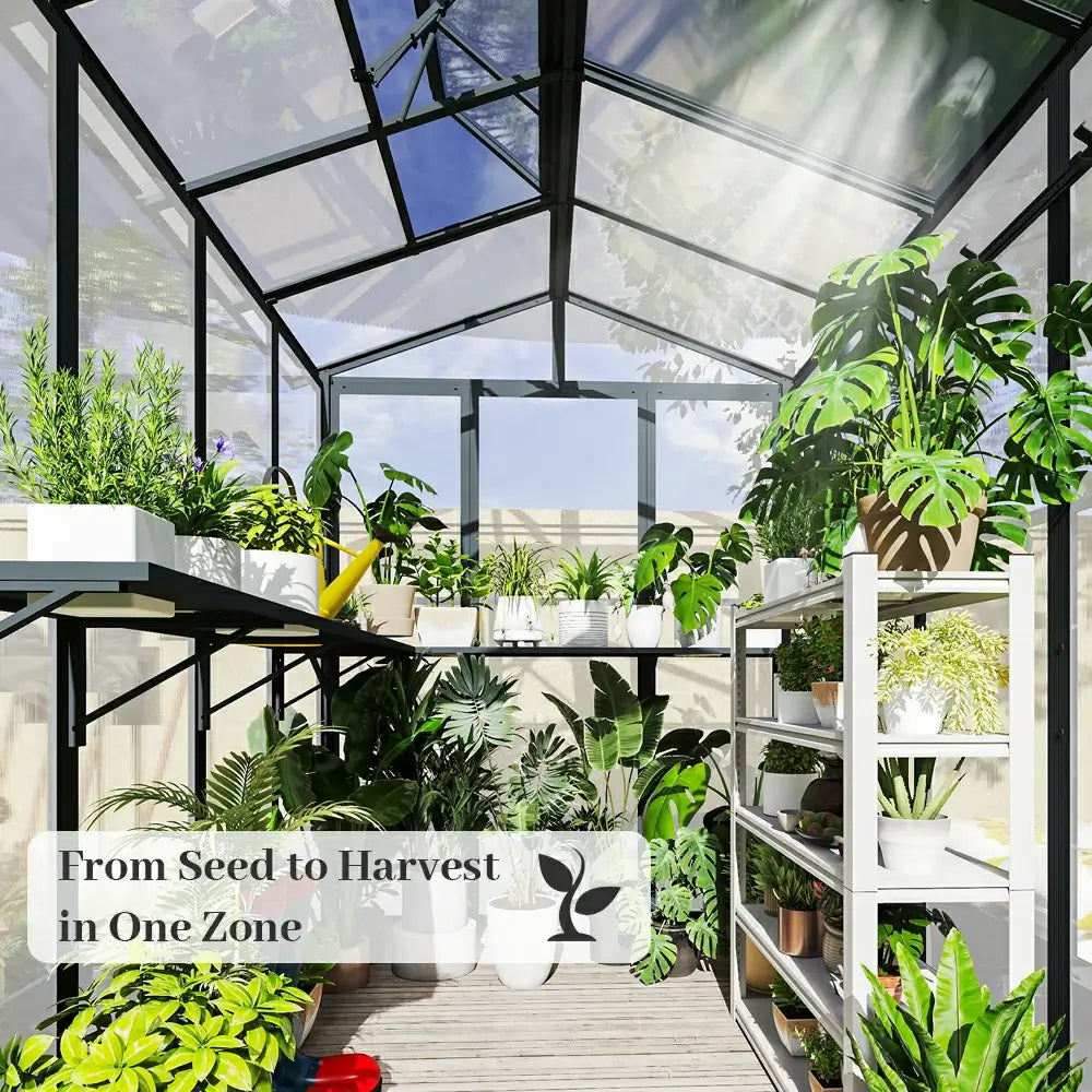 Polycarbonate Greenhouse